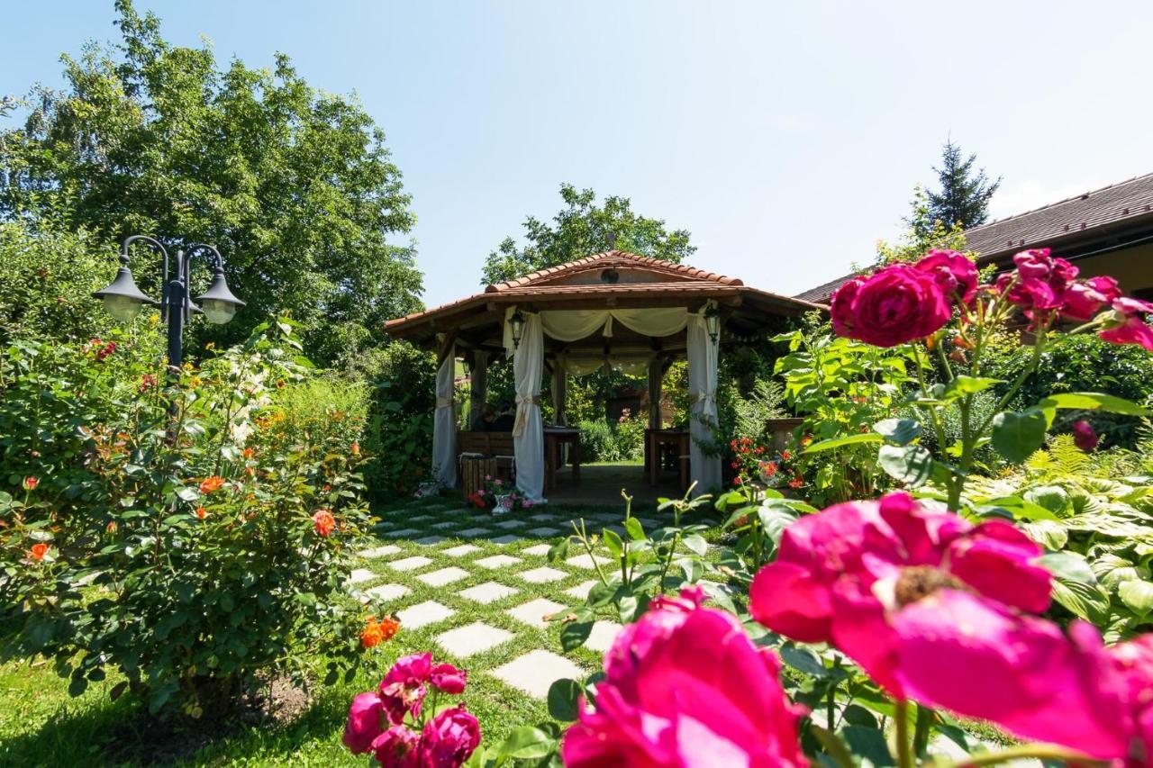 Hotel Bielmann Sînpetru Exterior foto